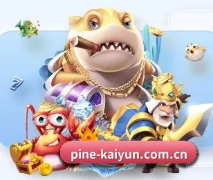 开云官网的故事